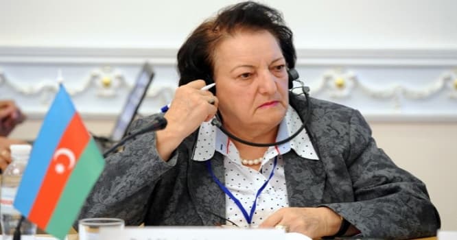 “Elmira xanım, tərif dolu hesabat kimə lazımdır?” - Ombudsmana irad