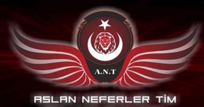 Türkiyənin xüsusi qrupu hərəkətə keçdi - Hollandiya şokda