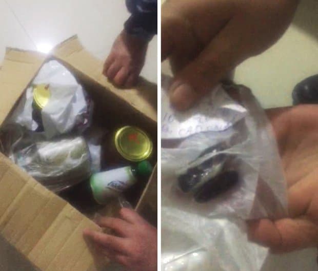 Azərbaycanda narkotrafikin qarşısını bu it aldı - FOTO