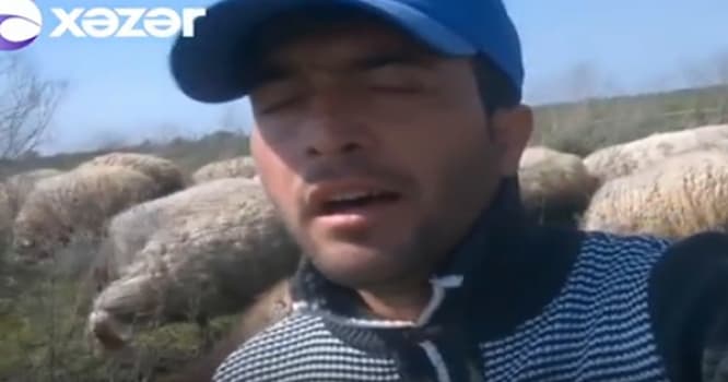 İfası ilə bir günə məşhurlaşan Pərvin: Qoyun otararkən... - VİDEO