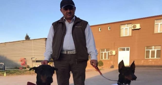 “Həmin it o boyda şirkəti qoruyur” - İtlərini evləndirən iş adamı