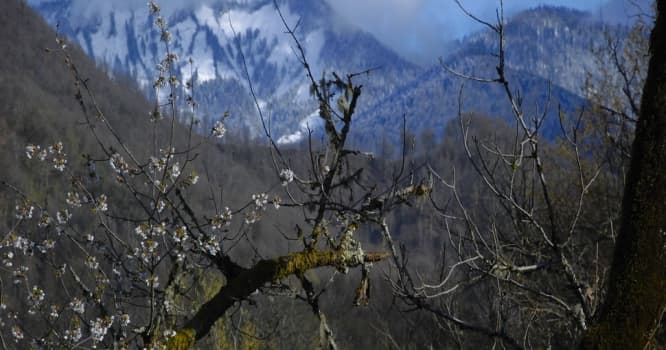Bəzi yerlərdə yağış, dağlıq rayonlarda qar yağacaq