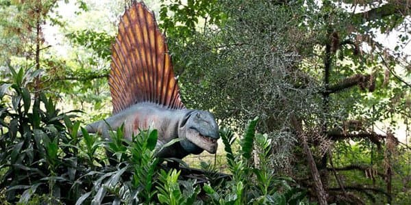 Dinozavrlar dövründən qalma bitki tapılıb