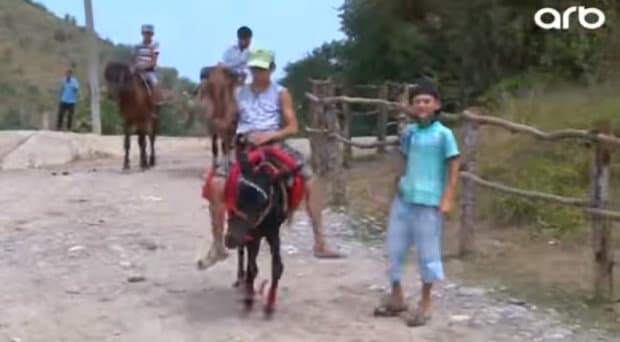 Azərbaycanda bəxt açan eşşək: 100 manata (VİDEO)