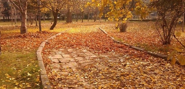 Payız Azərbaycana nə vaxt gələcək?