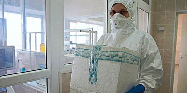 "Donuz qripi" 600-dən çox insanın həyatına son qoyub
