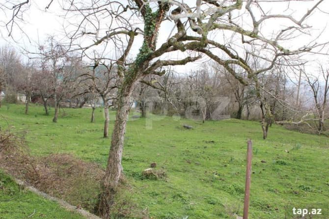 Bakıda 46 milyon manata torpaq satılır (FOTOLAR)