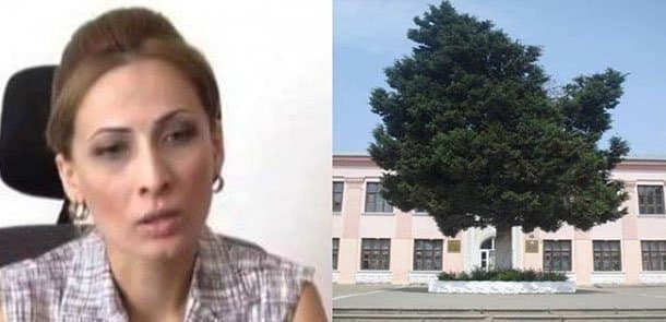 Daha bir məktəb direktoru jurnalistə: Qələt edirsən...