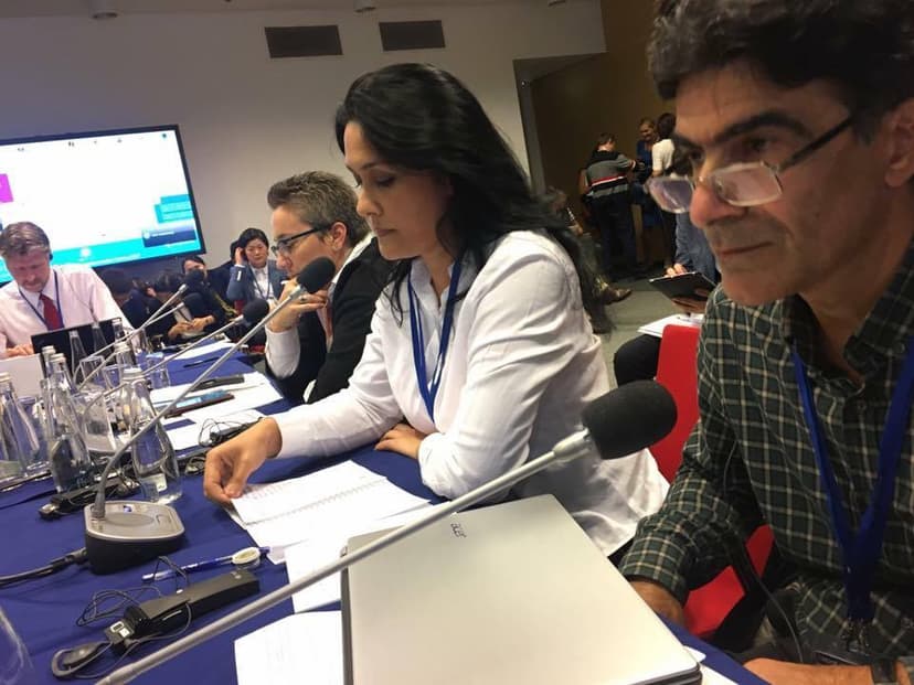 Günel Səfərova: "ATƏT yalnız Şərqə baxır, Qərbi görmür" (FOTOLAR)