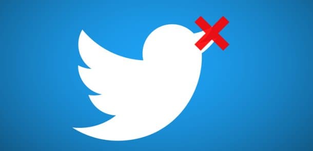 Ağcaqanadı öldürdü, «Twitter» hesabı bağlandı