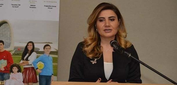 Fəlsəfə doktoru: «Onun Nizamini fars şairi çıxarması təəccüblü deyil»