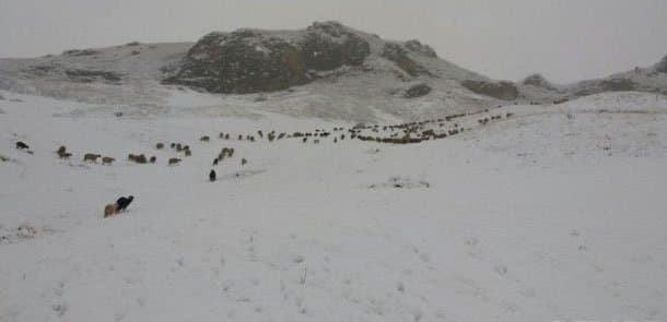 Azərbaycana ilk qar yağdı (FOTO)