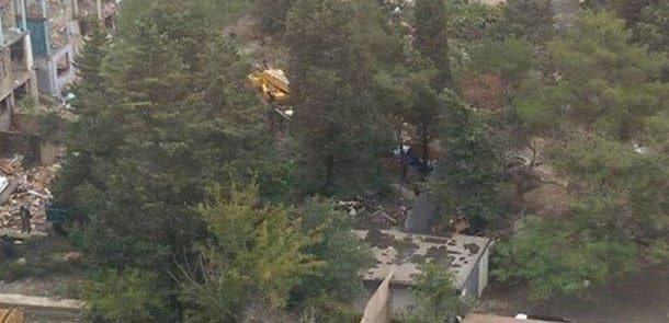 Bakıda növbəti «yaşıl soyqırım»? (FOTO/VİDEO)