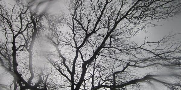 Hava xəbərdarlığı: Temperatur 6 dərəcə aşağı enəcək