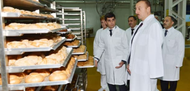 Yeni dövlət qurumunun funksiyası nədir?