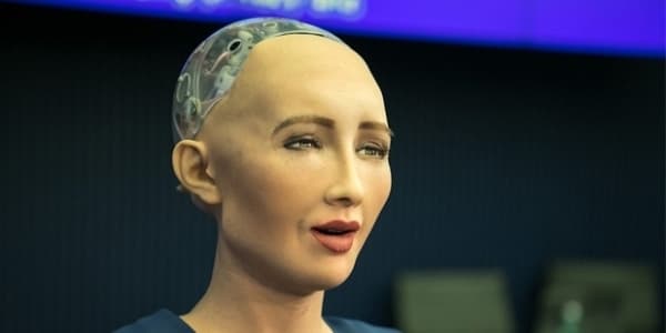 Vətəndaşlıq alan robot evlənmək istəyir