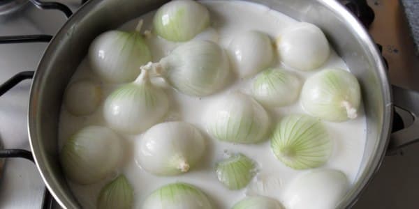 Soğanlı südün faydaları