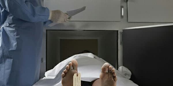 Tibb Universitetində meyit qıtlığı: Gələcəyin həkimləri maket üstündə təcrübə keçir