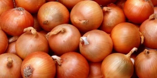 Azərbaycanda bu məhsulun ixracı tarixi rekord həddə çatıb