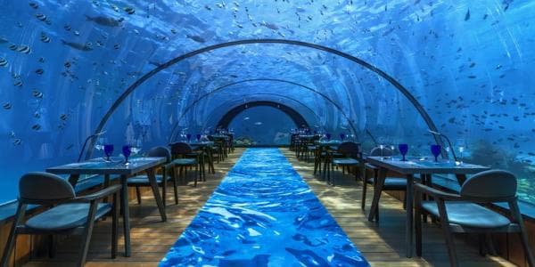 Yeni istifadəyə verilən maraqlı hotel və hostellər (FOTOLAR)
