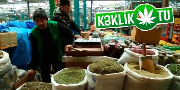 Filmə görə Bakıda kəklikotu satışları da rekord qırır (VİDEO)