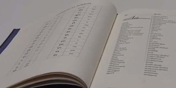 Yeni lüğətdə yeni sözlər: Deltaplan, gid, prelüdiya… – VİDEO