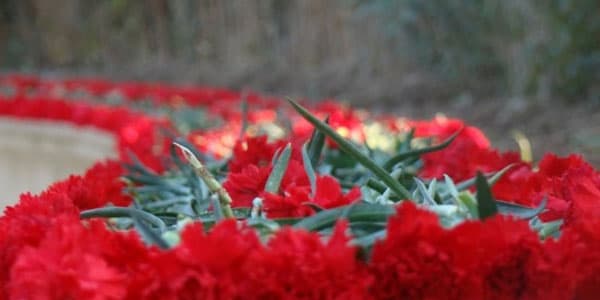 Cəbhədən acı xəbər: əsgərimiz şəhid oldu
