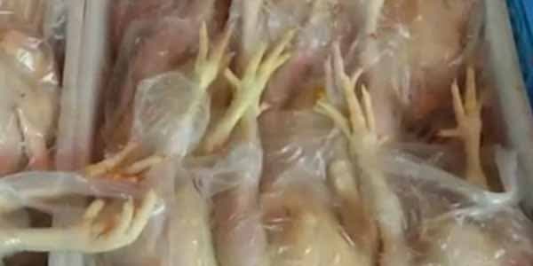Bakıda broyler toyuqları kənd toyuğu adı ilə satılır (VİDEO)