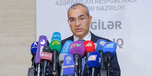 Nazir: "Xarici şirkətlər vergidən yayınır"
