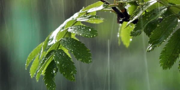Azərbaycanda hava şəraiti qeyri-sabit keçəcək (XƏBƏRDARLIQ)