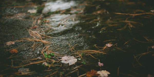Temperatur 5-7 dərəcə aşağı enəcək (XƏBƏRDARLIQ)
