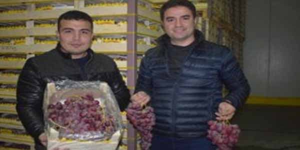"Axırıncı 30 ton üzümü TIR-a yükləyib Azərbaycana göndərdik..."