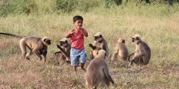 Meymunlarla dost olan oğlanı Tanrı elan etdilər