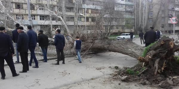 Güclü külək Mingəçevirdə fəsadlar törədib (FOTOLAR)