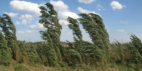 Güclü külək əsəcək, temperatur 7 dərəcə aşağı enəcək (XƏBƏRDARLIQ)