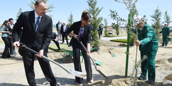 İlham Əliyev və ailə üzvləri ağacəkmə aksiyasında iştirak edib