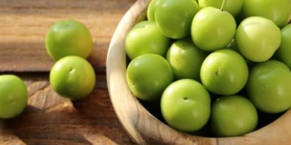 Alçanın insan orqanizminə hansı faydaları var?