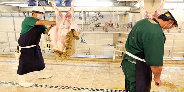 İran halal ət kəsimini Azərbaycan şirkətinə etibar etdi (FOTO/VİDEO)