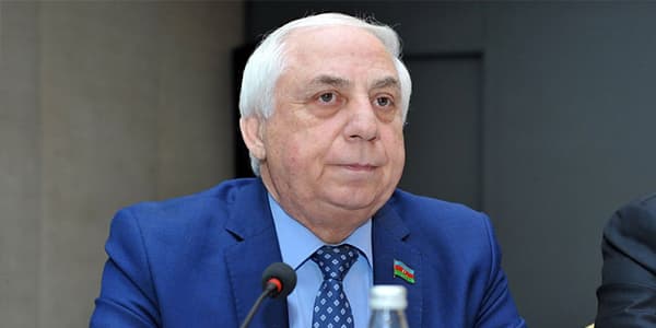 Hadı Rəcəbli: "Niyə axı məni təhqir edirlər?"