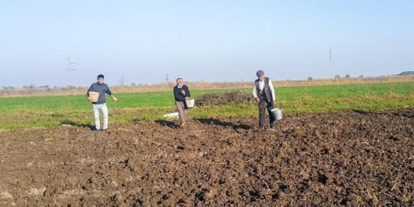 Oliqarxların zəbt etdiyi torpaqlar əllərindən alındı (SİYAHI)