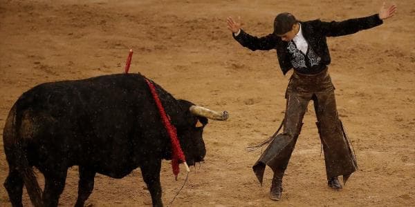 Qadın matadorun "ölüm rəqsi": ilk dəfə buğa qarşısına çıxdı (FOTOLAR)