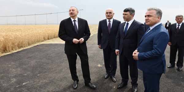 Prezident: "İşsizliyin azaldılması ilə bağlı əlavə addımlar atılacaq" 