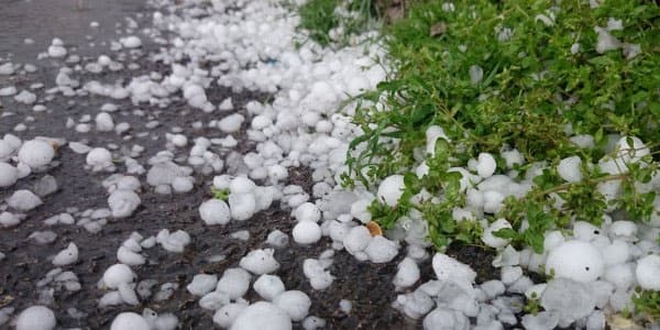 Göygölə dolu yağdı: ağaclar qırıldı, fərdi təsərrüfatlara ziyan dəydi (FOTOLAR)