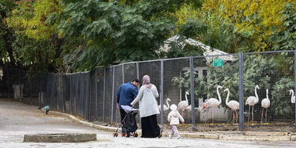 Bakı Zooparkı dəyişir: ərazisi böyüyür, yenidən qurulur