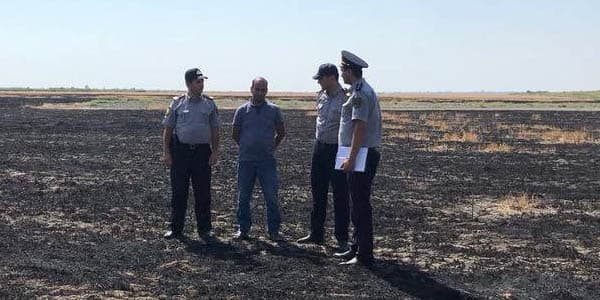 Göyçayda taxıl sahəsini qəsdən yandırmaqda şübhəli bilinən şəxs saxlanıldı