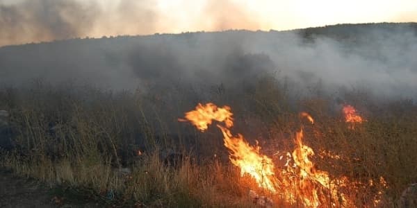 FHN: Şimal bölgəsində meşəətrafı ərazidə yanğın başlayıb