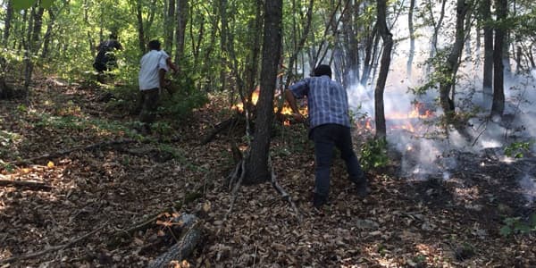 ETSN: "Hava şəraiti Altıağacdakı yanğının söndürülməsində çətinliklər yaradır"