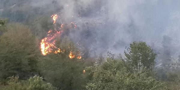 Azərbaycanda yanğın törədən 15 nəfər həbs olundu