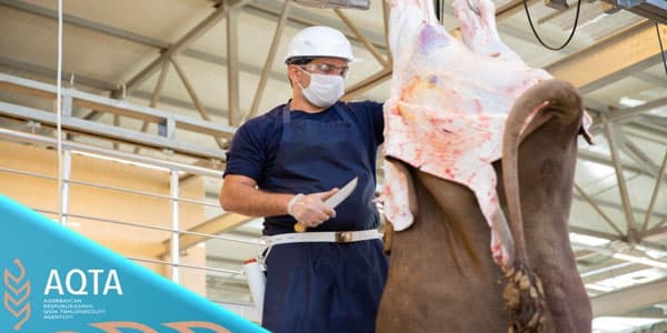 Qurban bayramında Bakıda heyvan kəsimi üçün ayrılan ünvanlar (SİYAHI)