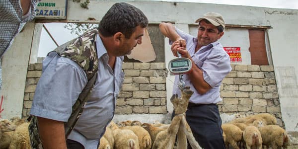 Qurban bayramına görə bu ünvanlarda yarmarkalar olacaq (SİYAHI)